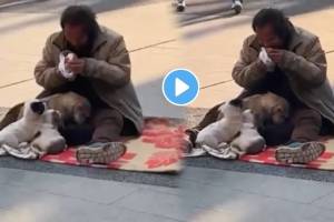 kindness matters Person chose to share their food or love with furry dog friends Watch Heartwarming Viral Video Ones