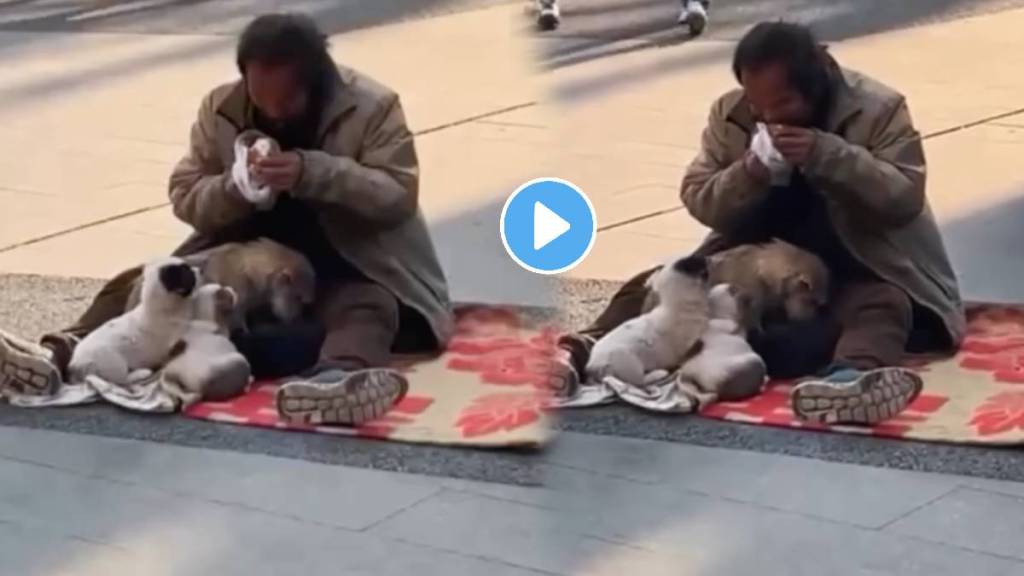 kindness matters Person chose to share their food or love with furry dog friends Watch Heartwarming Viral Video Ones