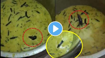 students found alive rat in chutney watch hyderabad jnt university hostel mess video goes viral