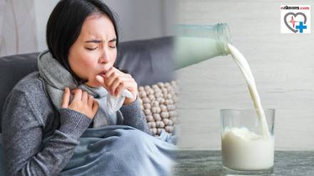 Many people avoid drinking milk especially when they have a cold or cough it is believed it leads to increased mucous production