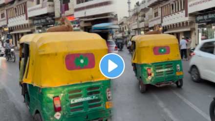 The dog sat on the foot of the moving rickshaw