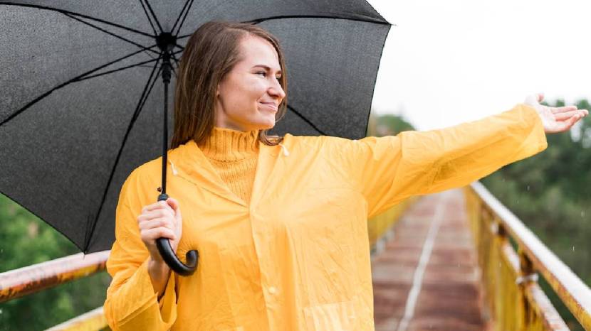 Monsoon Hair Care Tips For Your Healthy Hair Try This Five Natural Hair Mask How To Make Follow This Steps 