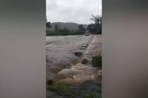 st bus, flood water, driver suspended, video viral,