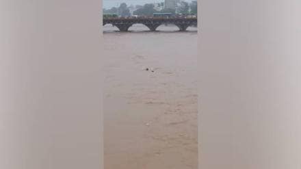 Pune, School boy drowned, Mutha river,