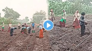 Farmer Viral Video farmers dancing in the rain beautiful video