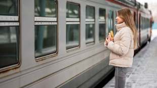 indian woman in sweden gets 50 percent refund because train ac was not working irctc in parallel universe