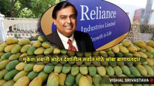 reliances mango empire how mukesh ambani transformed jamnagars barren lands to becomes worlds top exporte