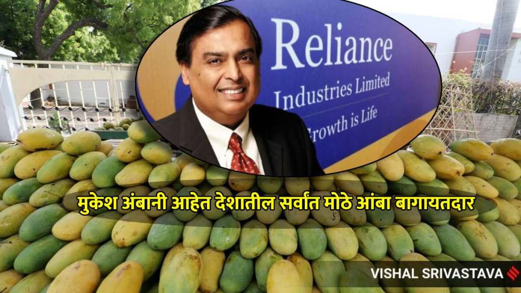 reliances mango empire how mukesh ambani transformed jamnagars barren lands to becomes worlds top exporte