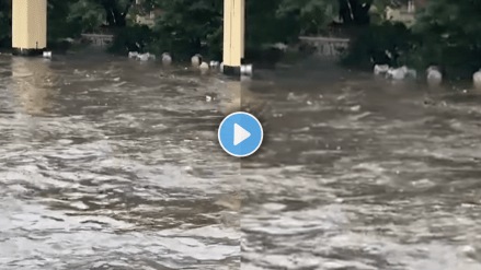 Pune Floods dhol Washed Away in Flood Water