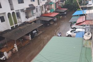 Flood-like conditions at many places in Raigad Schools holiday in Alibag Murud