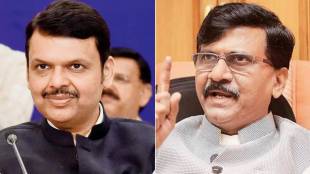 Sanjay Raut Criticized Devendra Fadnavis