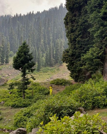 Sara Ali Khan Kashmir Vacation