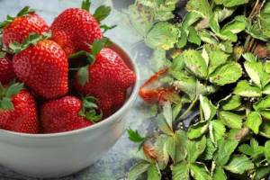 Benefits Of Strawberry Leaves