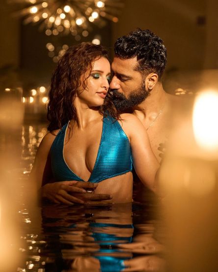 Tripti Dimri Vicky Kaushal Romance