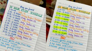 upsc student shared a timetable of 10 hours study in a day