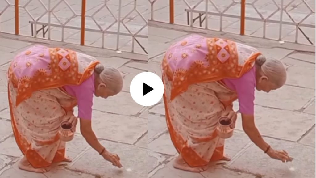 an old lady feeding sugar to ants show mercy and kindness to animals and birds