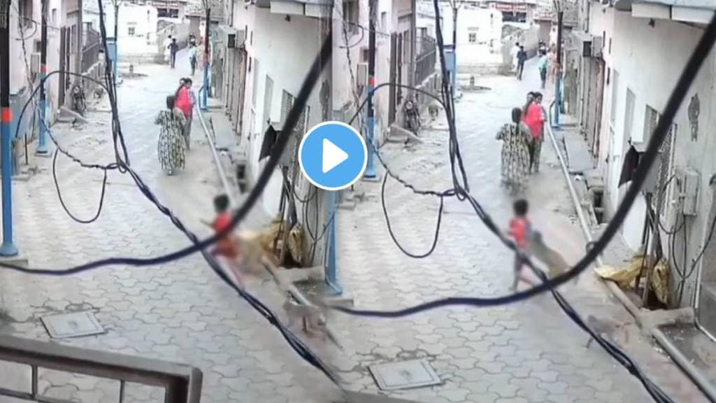 Viral Video Of CCTV Camera Five Years old little boy was attacked by a group of monkeys