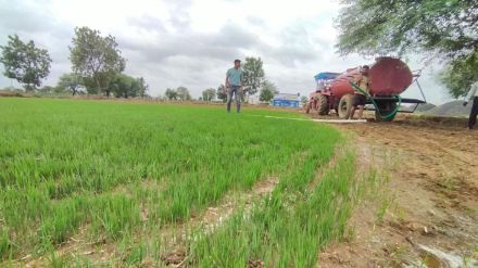 Water supply by tanker to save paddy farmers struggle in Bhandara