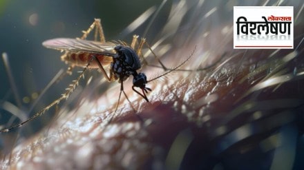 What makes mosquitoes suck blood