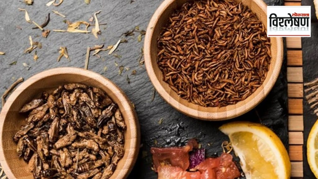 Why Singapore has approved insects for food