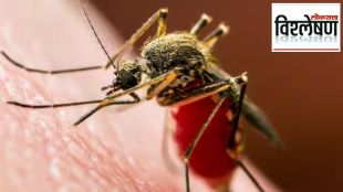 Zika virus cases rising in india