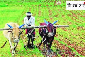 how is hope of relief for agriculture budget was decided to fail