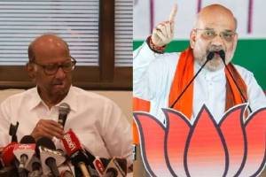 BJP, Pune, Amit Shah, Sharad Pawar