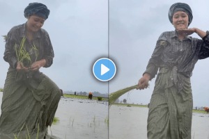Viral video of farmer Assam girl dances on angaro ka song on field with Shirt and lungi