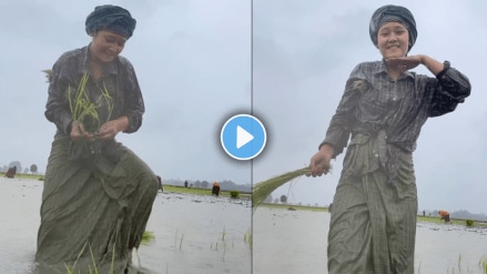 Viral video of farmer Assam girl dances on angaro ka song on field with Shirt and lungi