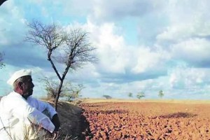 Solapur farmers marathi news
