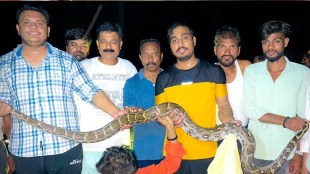 giant python climbed on electric pole wardha