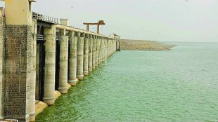 water storage in dams marathi news