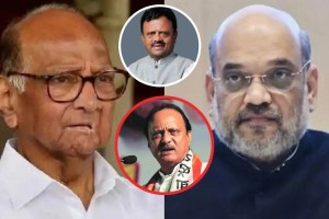 amit shah s criticism of sharad pawar