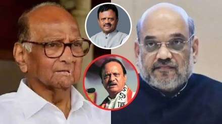 amit shah s criticism of sharad pawar