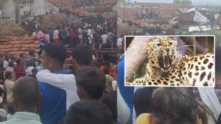 Chandrapur leopard attack marathi news