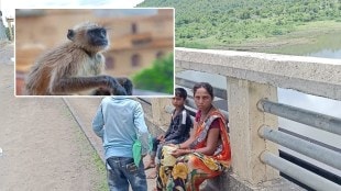 monkey attack on woman