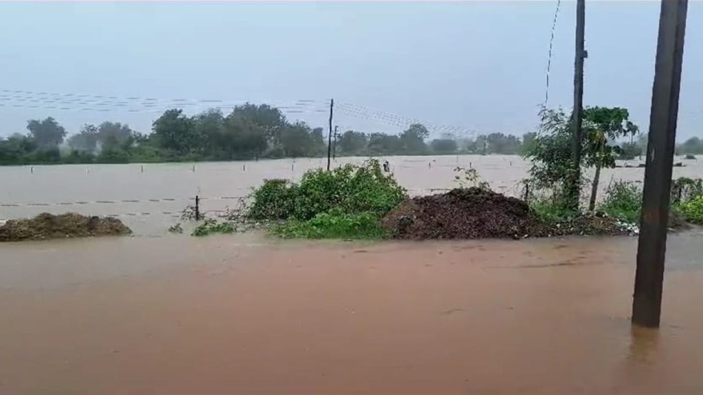 buldhana , rain