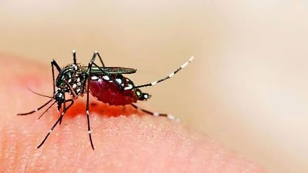 pune zika virus