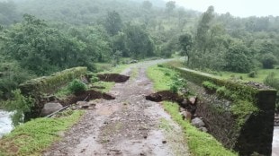 satara heavy rain marathi news