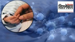 chandipura virus surge in gujarat