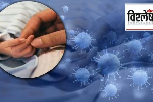 chandipura virus surge in gujarat