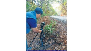 Loksatta Documentary Discovery channel David Attenborough Director