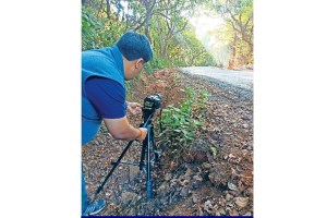 Loksatta Documentary Discovery channel David Attenborough Director