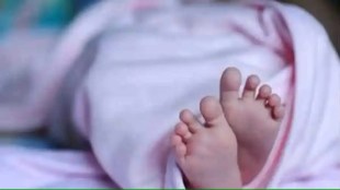 Child dies due to snake bite nashik