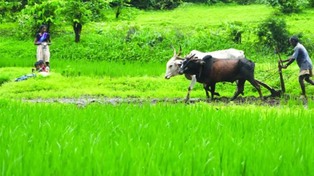 Union Budget 2024 Key Announcements in Marathi