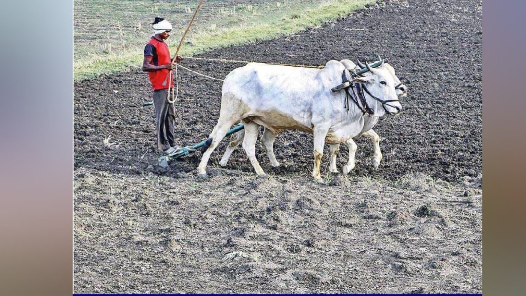 Pressure from the rulers to give loans without seeing the farmer CIBIL