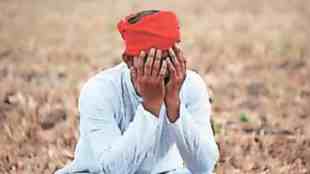 Farmer Suicides in Maharashtra, Farmer Suicides in Maharashtra Surge to 1267, Government Welfare Schemes, farmer suicides, Maharashtra, welfare schemes, Amravati, Chhatrapati Sambhajinagar, Relief and Rehabilitation Department, Pradhan Mantri Shetkari Samman Yojana, Namo Farmers Yojana,