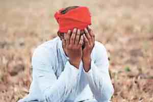 Farmer Suicides in Maharashtra, Farmer Suicides in Maharashtra Surge to 1267, Government Welfare Schemes, farmer suicides, Maharashtra, welfare schemes, Amravati, Chhatrapati Sambhajinagar, Relief and Rehabilitation Department, Pradhan Mantri Shetkari Samman Yojana, Namo Farmers Yojana,