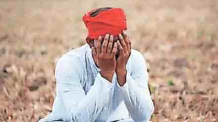 Farmer Suicides in Maharashtra, Farmer Suicides in Maharashtra Surge to 1267, Government Welfare Schemes, farmer suicides, Maharashtra, welfare schemes, Amravati, Chhatrapati Sambhajinagar, Relief and Rehabilitation Department, Pradhan Mantri Shetkari Samman Yojana, Namo Farmers Yojana,