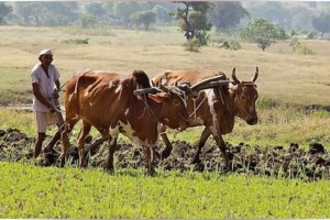 Cases have been registered against the banks which deprived the farmers of crop loans by demanding CIBIL and other documents